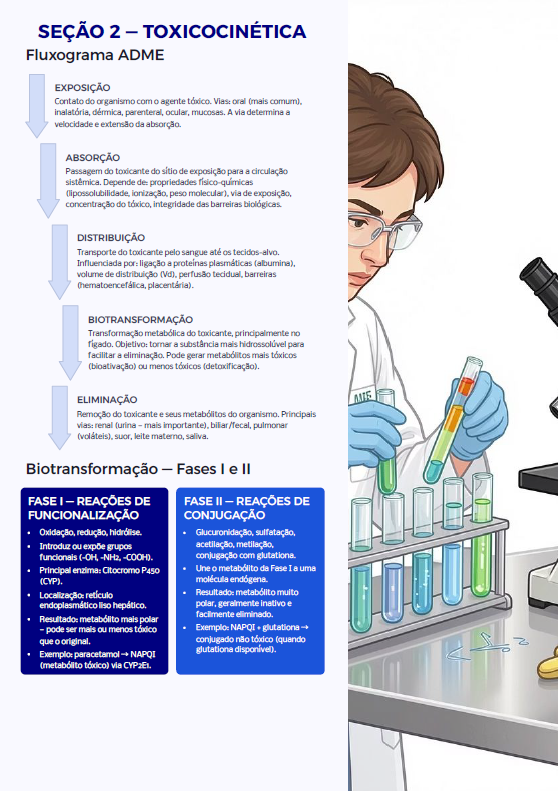 Página do material: Toxicocinética — fluxograma ADME e biotransformação
